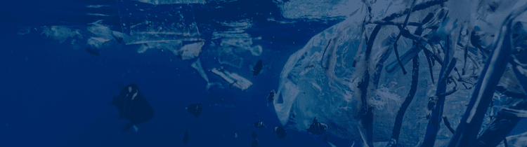 trash in water