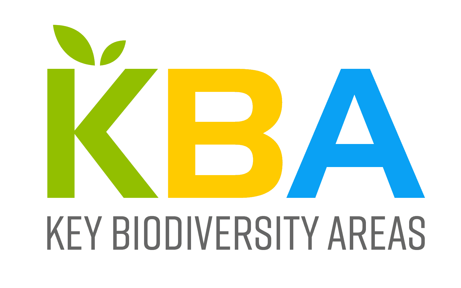 please fill out the ALT attribute