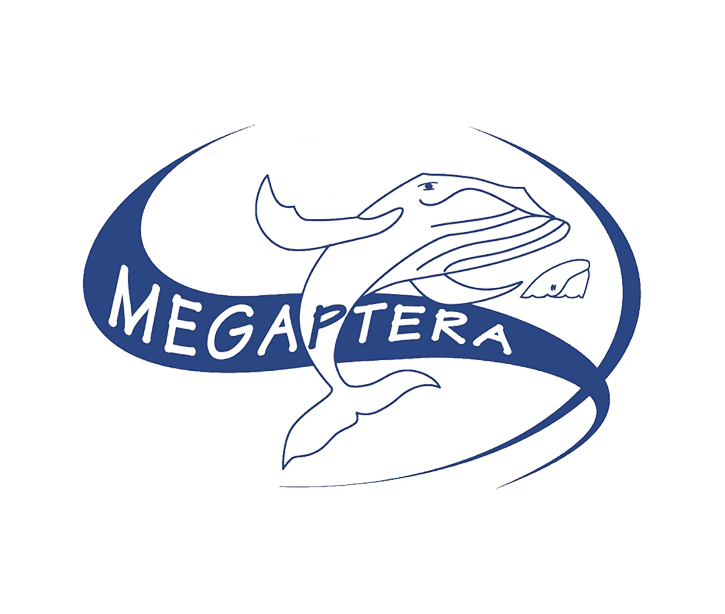 please fill out the ALT attribute