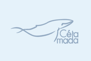 please fill out the ALT attribute