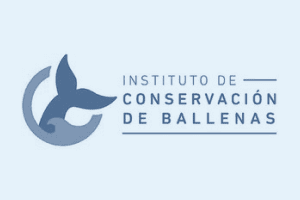 please fill out the ALT attribute