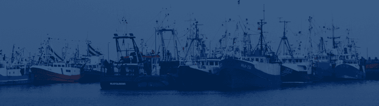 ships