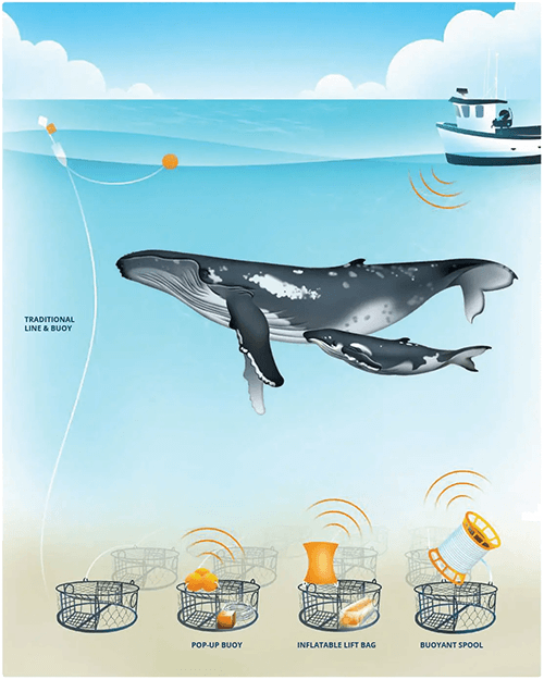 please fill out the ALT attribute