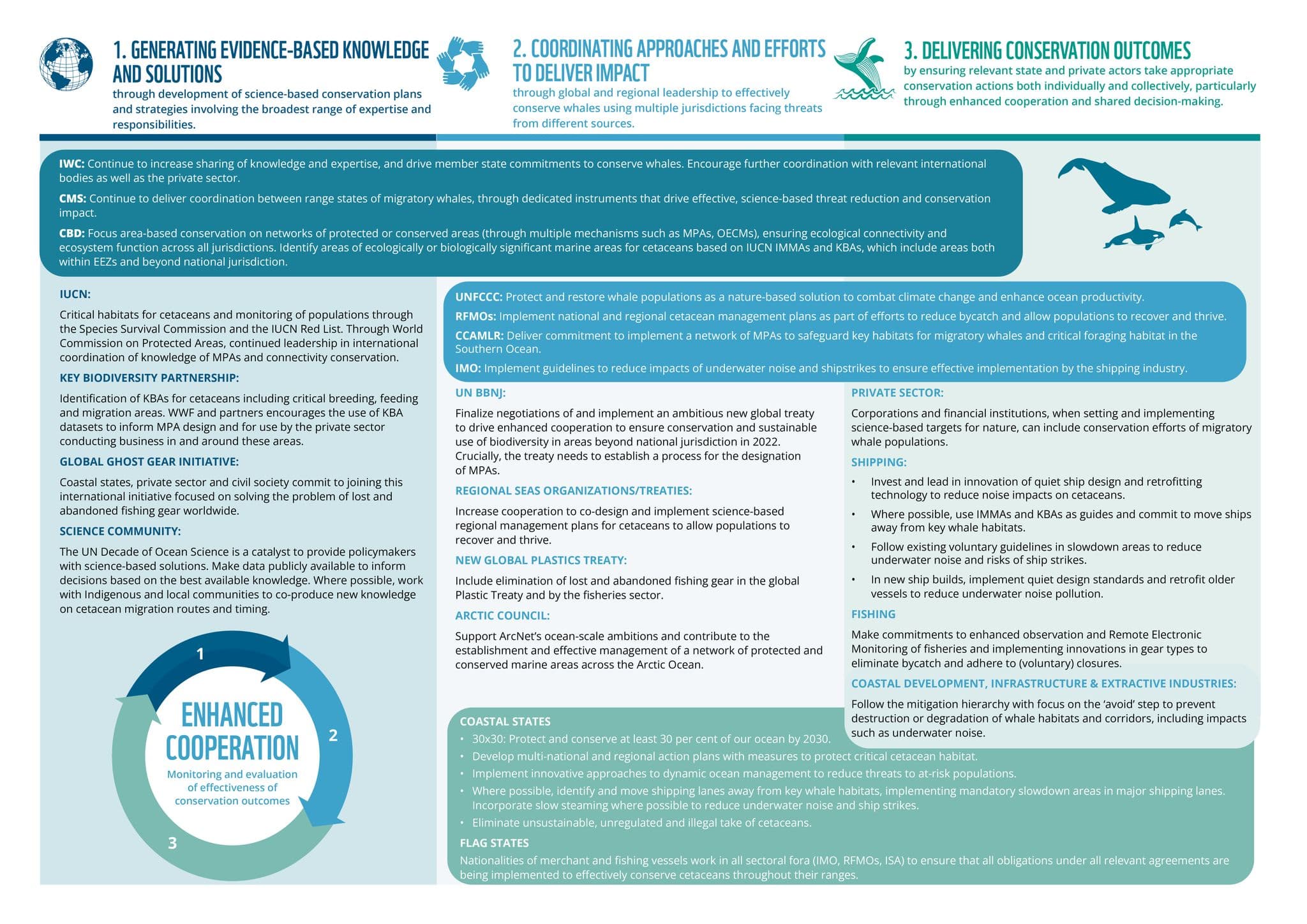 Infographic showing improving whale conservation through cooperative policy action