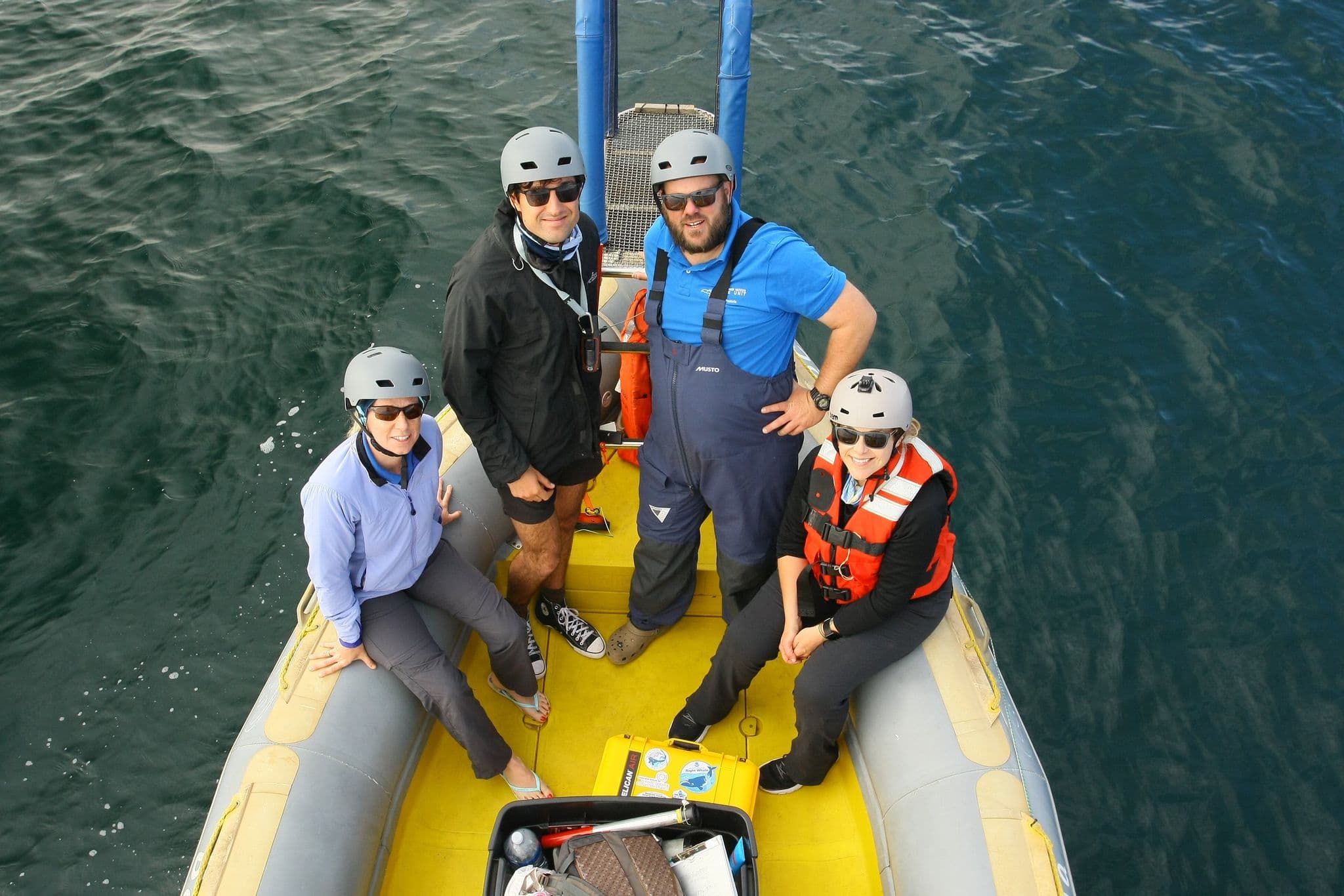 please fill out the ALT attribute