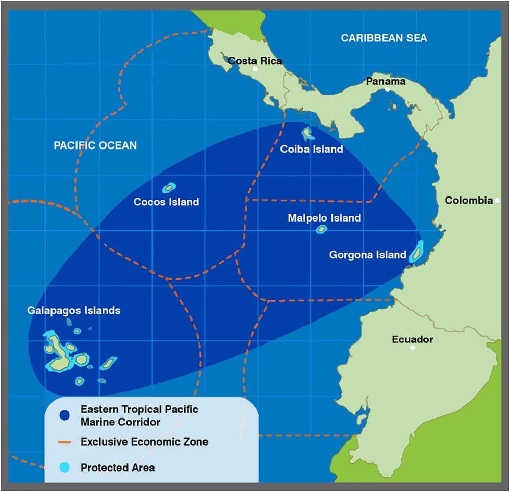 Map of Eastern Tropical Pacific Marine Corridor (CMAR)