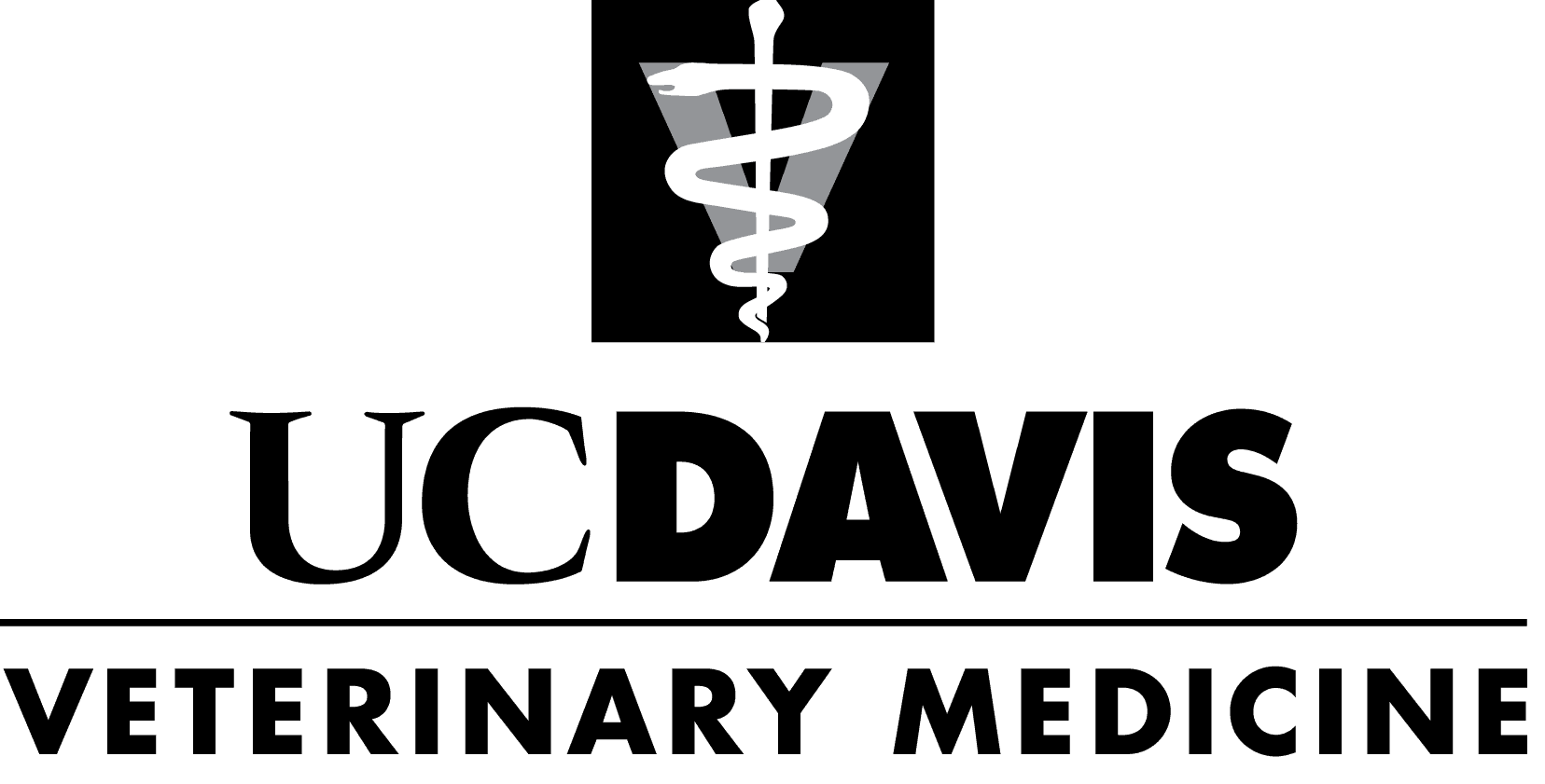 please fill out the ALT attribute